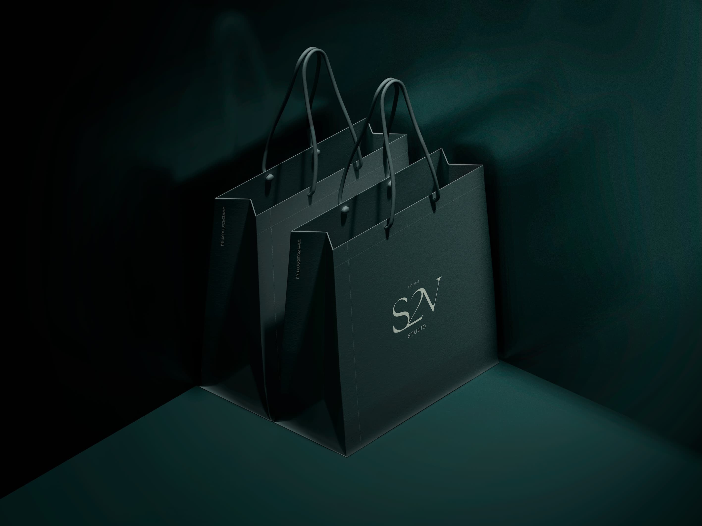S2V Studio