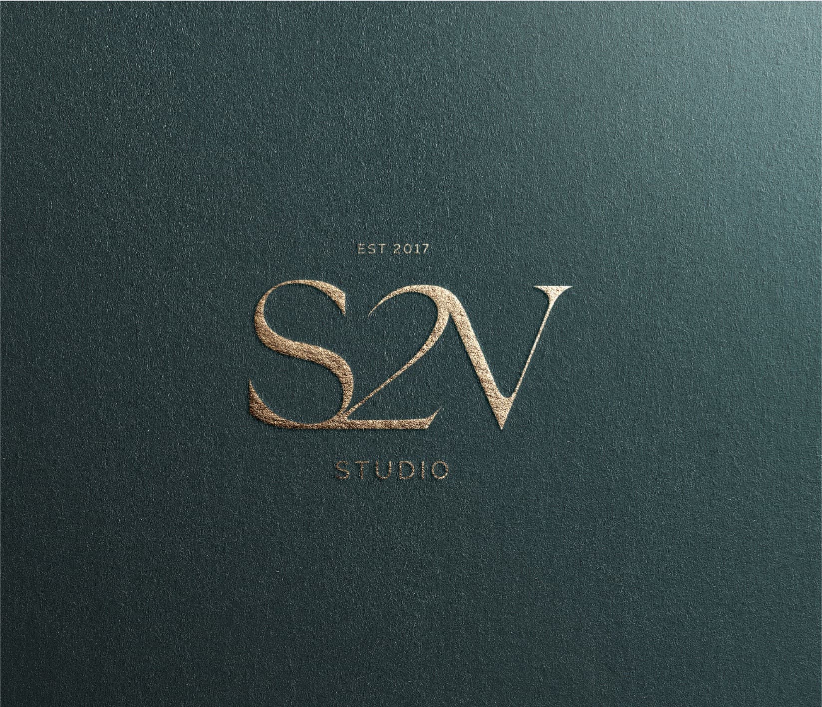 S2V Studio